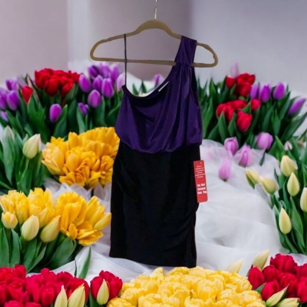 Sweet storm PROM cocktail dress purple black new with tags size small